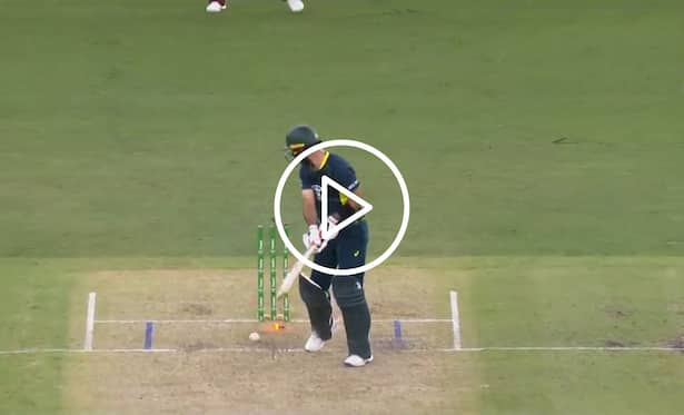 [Watch] Romario Shephard's Superb Yorker Ends Glenn Maxwell's Struggle At The Crease